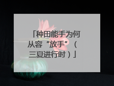 种田能手为何从容“放手”（三夏进行时）