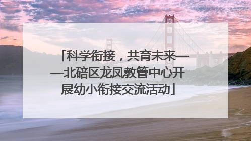 科学衔接，共育未来——北碚区龙凤教管中心开展幼小衔接交流活动