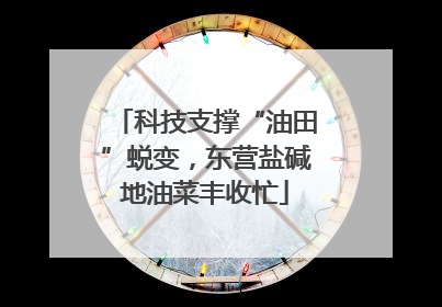科技支撑“油田”蜕变，东营盐碱地油菜丰收忙