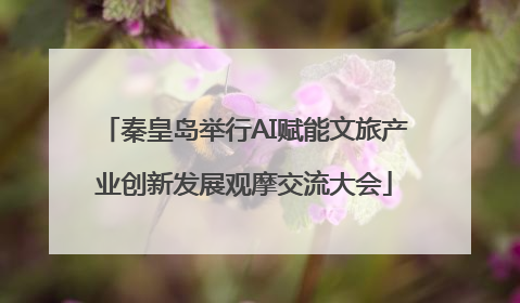 秦皇岛举行AI赋能文旅产业创新发展观摩交流大会