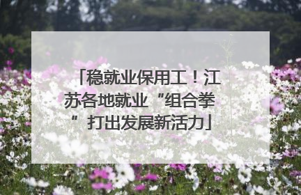 稳就业保用工！江苏各地就业“组合拳”打出发展新活力