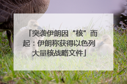 突袭伊朗因“核”而起：伊朗称获得以色列大量核战略文件