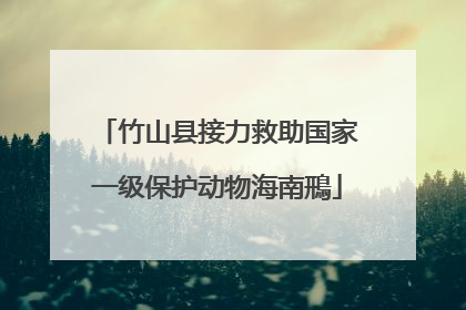 竹山县接力救助国家一级保护动物海南鳽