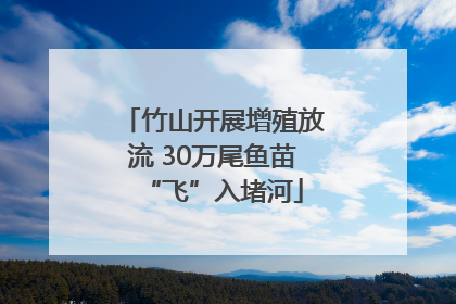 竹山开展增殖放流 30万尾鱼苗“飞”入堵河