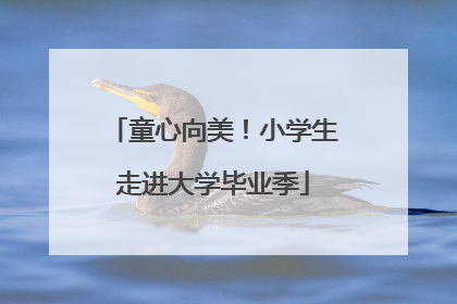 童心向美！小学生走进大学毕业季