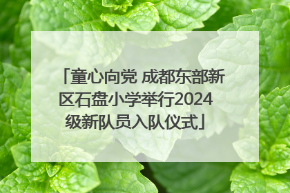童心向党 成都东部新区石盘小学举行2024级新队员入队仪式