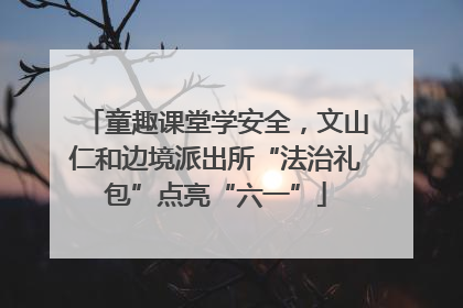童趣课堂学安全，文山仁和边境派出所“法治礼包”点亮“六一”
