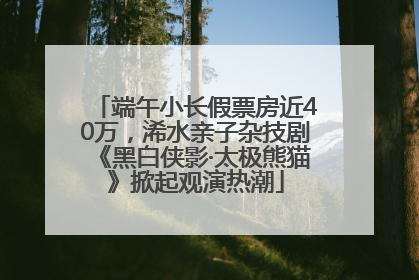 端午小长假票房近40万，浠水亲子杂技剧《黑白侠影·太极熊猫》掀起观演热潮
