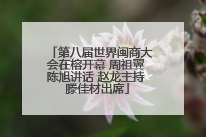 第八届世界闽商大会在榕开幕 周祖翼陈旭讲话 赵龙主持 滕佳材出席