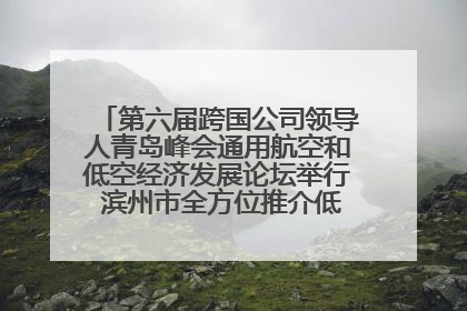 第六届跨国公司领导人青岛峰会通用航空和低空经济发展论坛举行 滨州市全方位推介低空经济发展优势