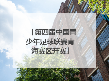 第四届中国青少年足球联赛青海赛区开赛