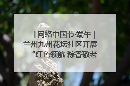 网络中国节·端午｜兰州九州花坛社区开展“红色领航 粽香敬老”端午主题活动