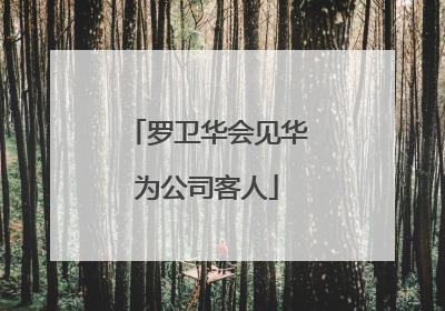 罗卫华会见华为公司客人