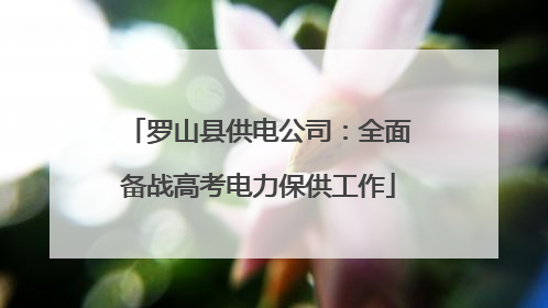 罗山县供电公司：全面备战高考电力保供工作