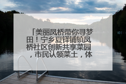 美丽凤桥带你寻梦田！宁乡夏铎铺镇凤桥社区创新共享菜园，市民认领菜土，体验耕种收获乐趣