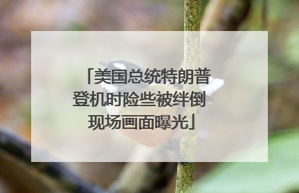 美国总统特朗普登机时险些被绊倒 现场画面曝光