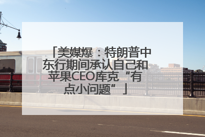 美媒爆：特朗普中东行期间承认自己和苹果CEO库克“有点小问题”