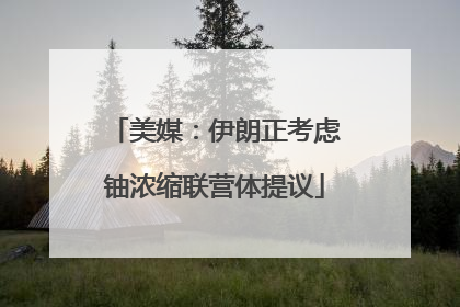 美媒：伊朗正考虑铀浓缩联营体提议