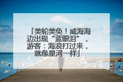 美轮美奂！威海海边出现“蓝眼泪”，游客：海浪打过来，就像星河一样