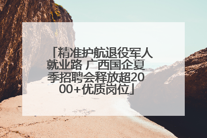 精准护航退役军人就业路 广西国企夏季招聘会释放超2000+优质岗位