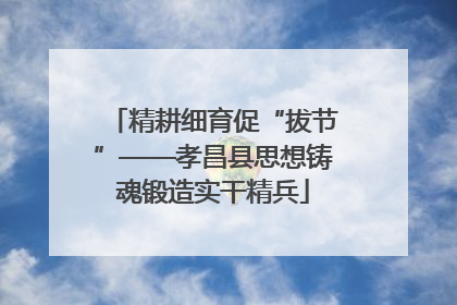 精耕细育促“拔节”——孝昌县思想铸魂锻造实干精兵
