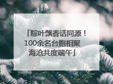 粽叶飘香话同源！100余名台胞相聚海沧共度端午