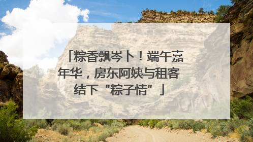 粽香飘岑卜！端午嘉年华，房东阿姨与租客结下“粽子情”
