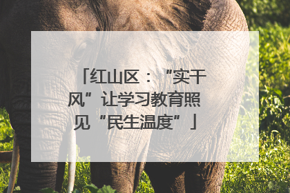 红山区：“实干风”让学习教育照见“民生温度”