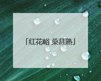 红花峪 桑葚熟