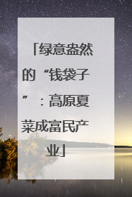绿意盎然的“钱袋子”：高原夏菜成富民产业