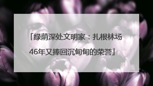 绿荫深处文明家：扎根林场46年又捧回沉甸甸的荣誉