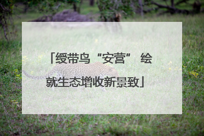 绶带鸟“安营” 绘就生态增收新景致