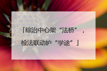 综治中心架“法桥”，检法联动护“学途”