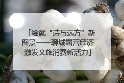 绘就“诗与远方”新图景——聊城露营经济激发文旅消费新活力