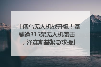 俄乌无人机战升级！基辅遭315架无人机袭击，泽连斯基紧急求援