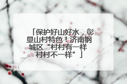 保护好山好水，彰显山村特色！济南钢城区“村村有一样 村村不一样”