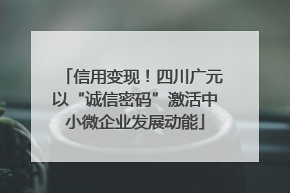 信用变现！四川广元以“诚信密码”激活中小微企业发展动能