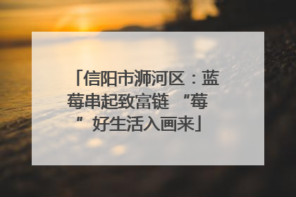 信阳市浉河区：蓝莓串起致富链 “莓”好生活入画来