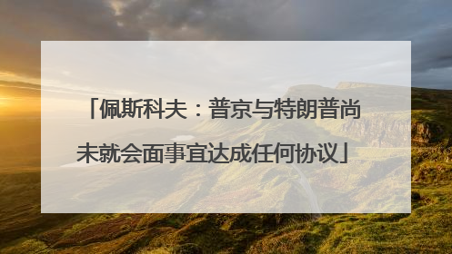 佩斯科夫：普京与特朗普尚未就会面事宜达成任何协议