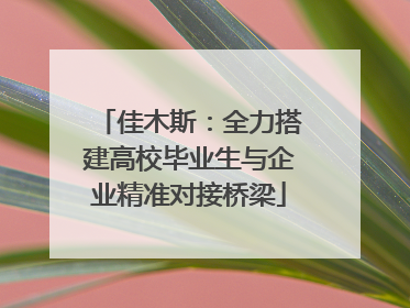 佳木斯：全力搭建高校毕业生与企业精准对接桥梁