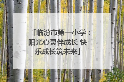 临汾市第一小学：阳光心灵伴成长 快乐成长筑未来