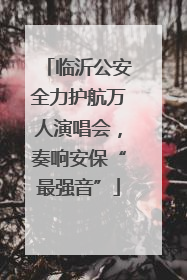 临沂公安全力护航万人演唱会，奏响安保“最强音”