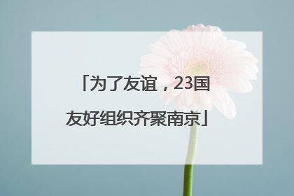 为了友谊，23国友好组织齐聚南京