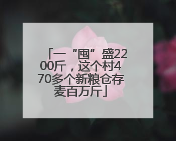 一“囤”盛2200斤，这个村470多个新粮仓存麦百万斤
