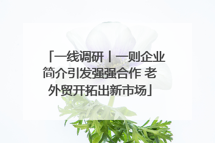 一线调研丨一则企业简介引发强强合作 老外贸开拓出新市场