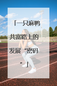 一只麻鸭共富路上的发展“密码”