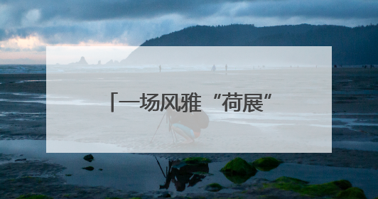 一场风雅“荷展”，背后是相隔千里两地的渊源和令人感动的历史人文情怀