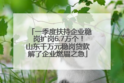 一季度扶持企业稳岗扩岗6.7万个！山东千万元稳岗贷款解了企业燃眉之急