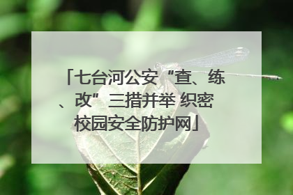 七台河公安“查、练、改”三措并举 织密校园安全防护网