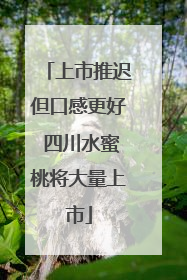 上市推迟但口感更好 四川水蜜桃将大量上市